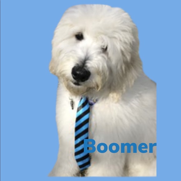 Meet The Vice President π - Picture 10 of 17